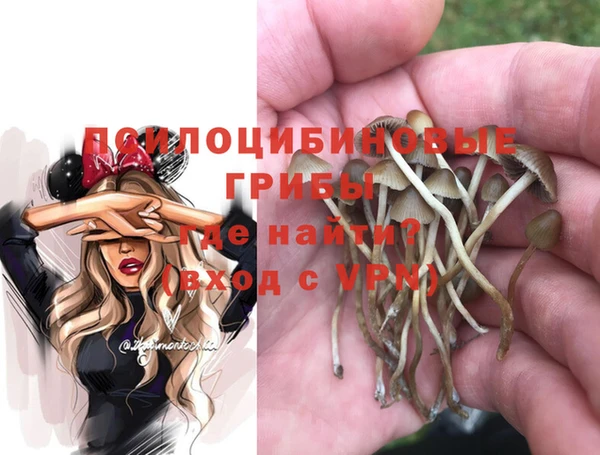 эйфоретик Волосово