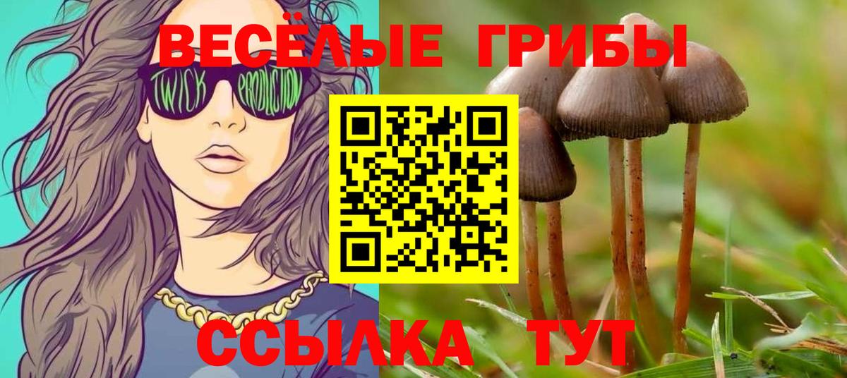 Галлюциногенные грибы Magic Shrooms Гусь-Хрустальный