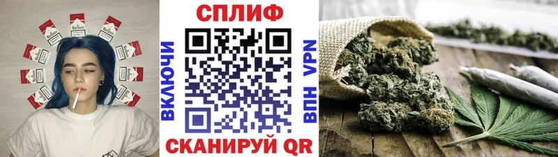 Каннабис сатива  Гусь-Хрустальный 